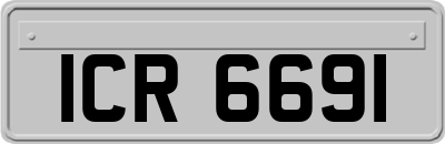 ICR6691