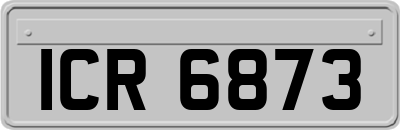 ICR6873