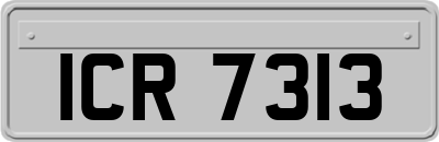 ICR7313