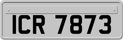 ICR7873