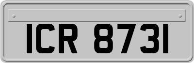 ICR8731