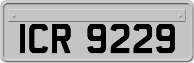 ICR9229
