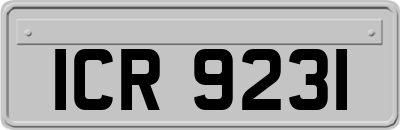 ICR9231