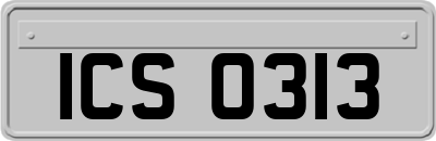 ICS0313