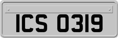 ICS0319
