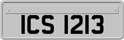 ICS1213