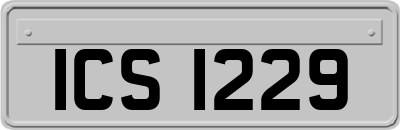 ICS1229