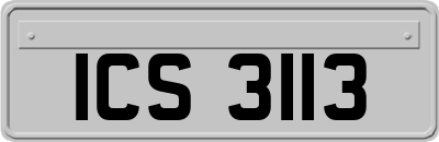 ICS3113