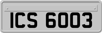 ICS6003