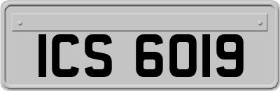 ICS6019