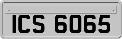 ICS6065