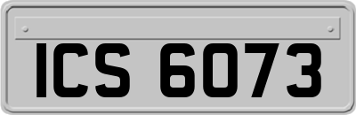 ICS6073