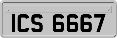 ICS6667