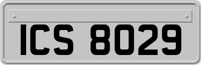 ICS8029
