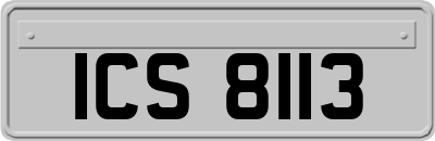 ICS8113