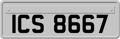 ICS8667