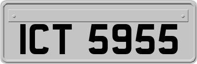ICT5955