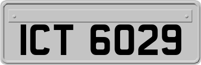 ICT6029