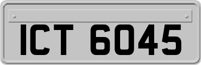 ICT6045
