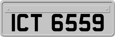 ICT6559
