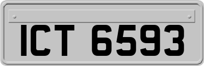 ICT6593