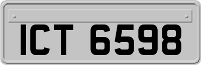 ICT6598