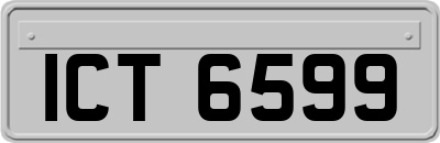 ICT6599