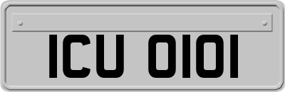 ICU0101