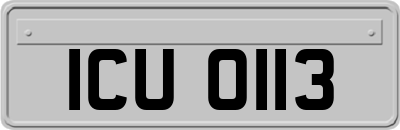 ICU0113