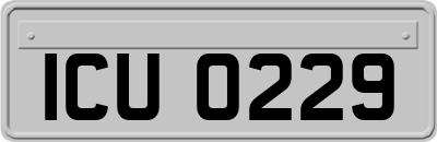 ICU0229