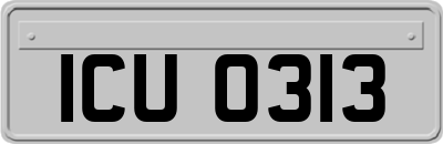 ICU0313