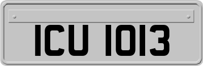 ICU1013