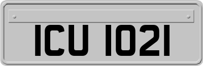 ICU1021