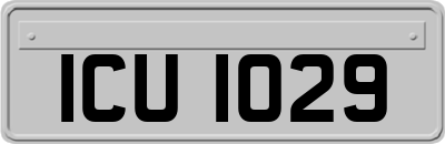 ICU1029