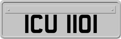 ICU1101