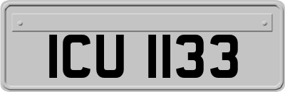 ICU1133