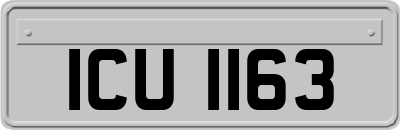 ICU1163