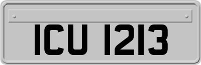 ICU1213