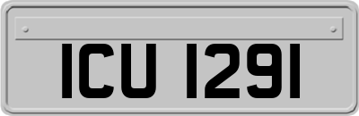 ICU1291