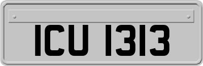 ICU1313