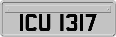 ICU1317