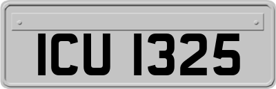 ICU1325