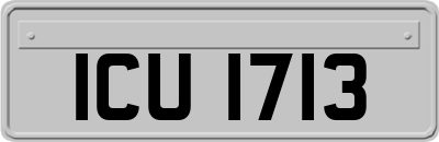 ICU1713