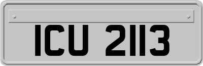 ICU2113