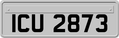 ICU2873