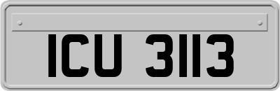 ICU3113