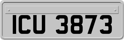 ICU3873