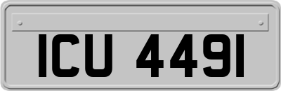 ICU4491
