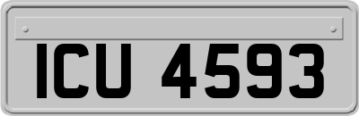 ICU4593