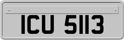 ICU5113